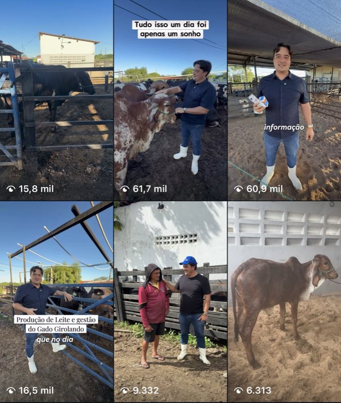 Fazenda de gado com Reels de até 61,7 mil visualizações
